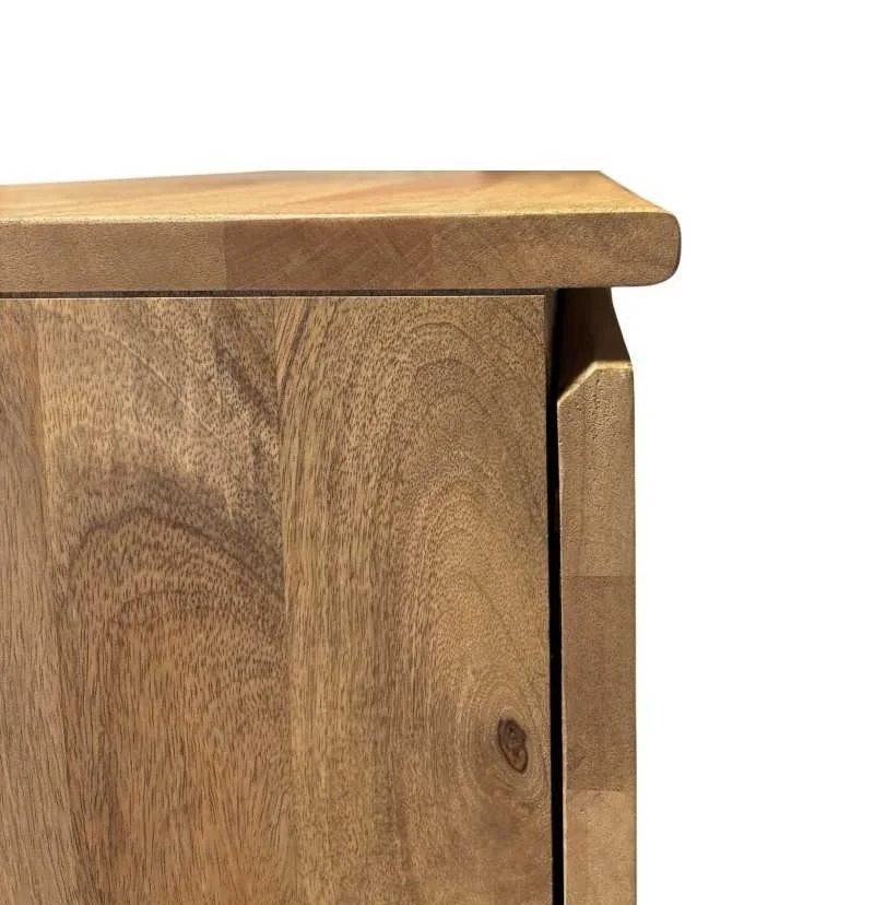 Mueble Tv 4 Puertas Madera Maciza de Mango 180 x 55 Cm (3)